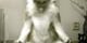yoga-dog